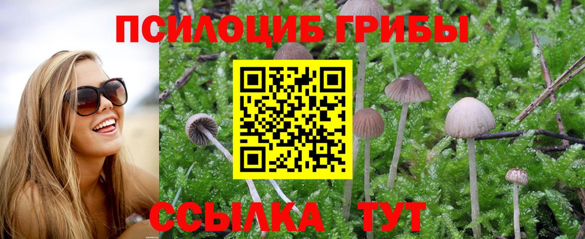 Чусовой  Галлюциногенные грибы MAGIC MUSHROOMS  Вход с VPN  Псилоцибиновые грибы Magic Shrooms 